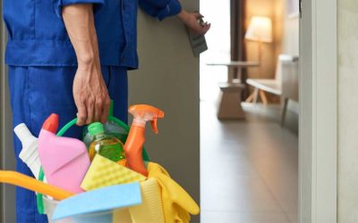Nettoyage des serrures et des portes : quelles précautions pour ne pas endommager votre système de sécurité ?